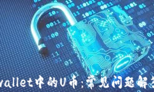 
如何恢复tpwallet中的U币：常见问题解答与解决方案