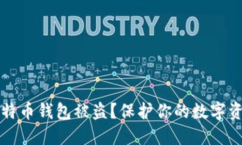 如何防止比特币钱包被盗？保护你的数字资产安全指南