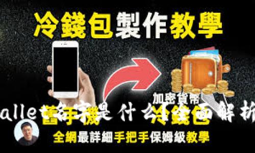 真正的TPWallet名字是什么？全面解析与使用指南