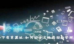 USDT钱包app下载苹果版：如何安全高效存储和管理