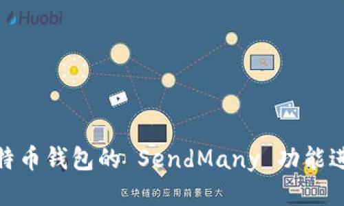 如何使用比特币钱包的 SendMany 功能进行批量转账