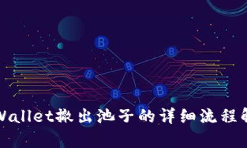 TPWallet撤出池子的详细流程解析